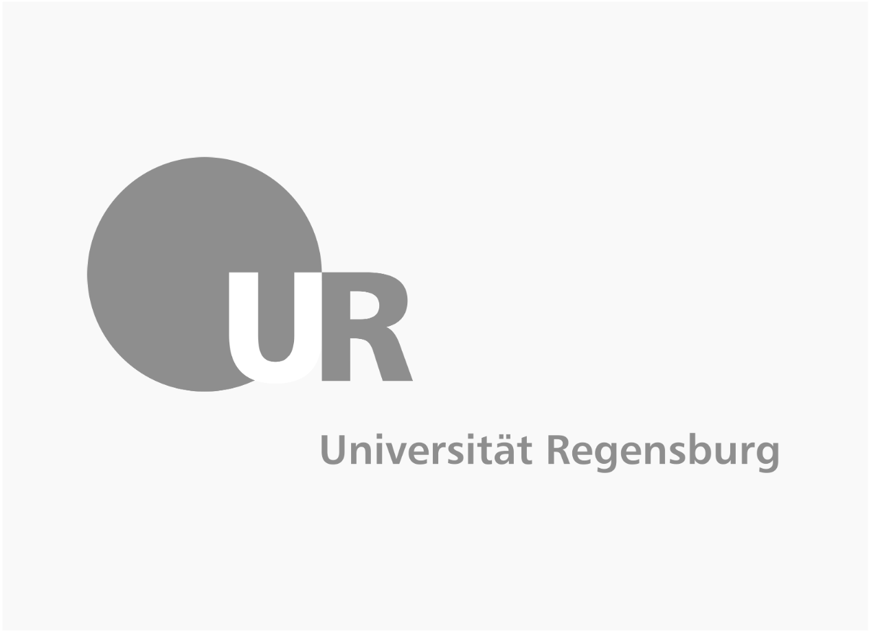 University of Regensburg
