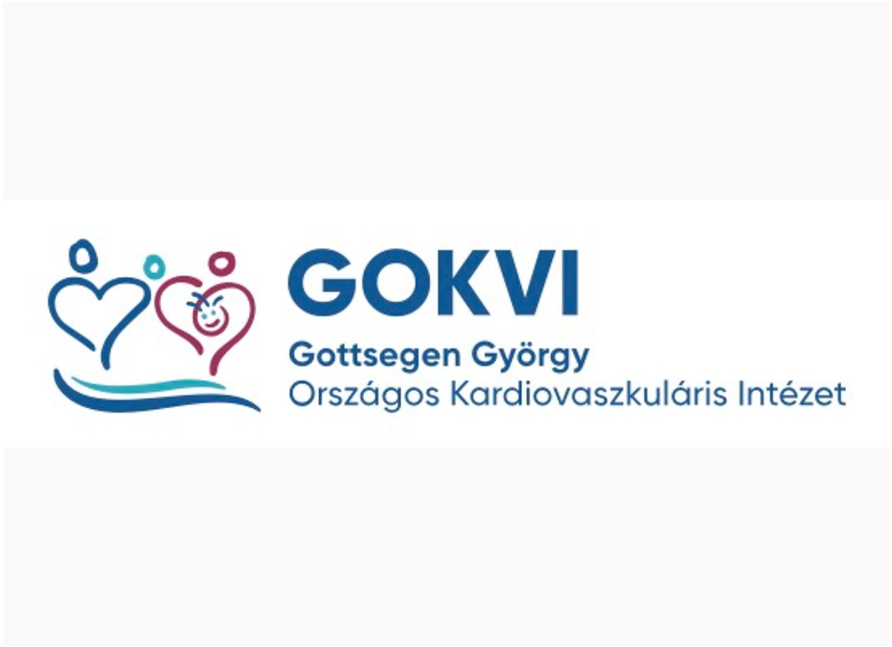 Gottsegen National Cardiovascular Center
